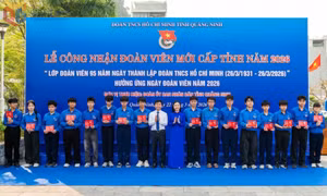 Xây dựng tổ chức Đoàn vững mạnh