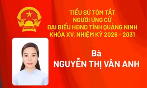 Tiểu sử ứng cử viên đại biểu HĐND tỉnh khóa XV Nguyễn Thị Vân Anh