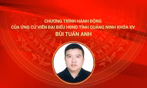 Chương trình hành động của ứng cử viên đại biểu HĐND tỉnh Quảng Ninh khóa XV Bùi Tuấn Anh