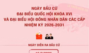 Thông tin cần biết về Ngày Bầu cử