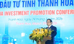 Thanh Hóa cần quy hoạch chiến lược lâu dài, khai thác mọi tiềm năng để phát triển nhanh, bền vững