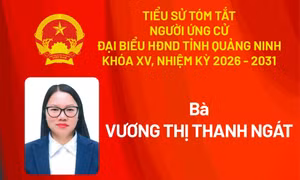 Tiểu sử ứng cử viên đại biểu HĐND tỉnh khóa XV Vương Thị Thanh Ngát