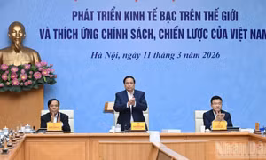 Thúc đẩy phát triển kinh tế bạc, thích ứng tình trạng già hóa dân số