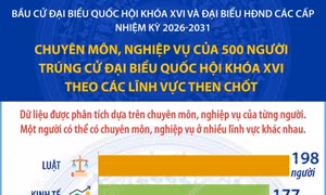 Chuyên môn, nghiệp vụ của 500 người trúng cử đại biểu Quốc hội khóa XVI