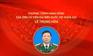 Chương trình hành động của ứng cử viên đại biểu Quốc hội khóa XVI Lê Trọng Hòa