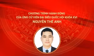 Chương trình hành động của ứng cử viên đại biểu Quốc hội khóa XVI Nguyễn Thế Anh