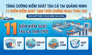 11 - là số điểm kiểm tra, kiểm soát tàu cá trên toàn tỉnh