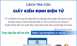 Hướng dẫn cách tra cứu giấy chứng nhận kiểm định điện tử