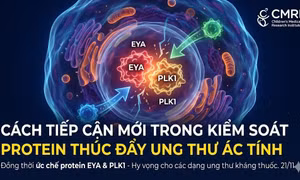 Cách tiếp cận mới trong kiểm soát các protein thúc đẩy tế bào ung thư ác tính 