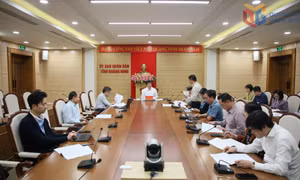 Nghe báo cáo và quyết định xét giải Hội thi Sáng tạo kỹ thuật và Cuộc thi Sáng tạo thanh thiếu niên nhi đồng