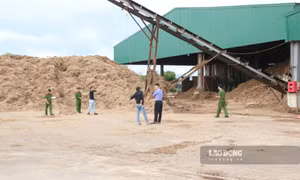 Nguyên nhân vụ tai nạn lao động tại xưởng sản xuất gỗ khiến 2 người thương vong
