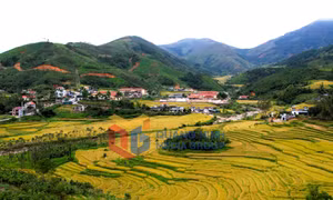 Phong cảnh xã Đông Ngũ