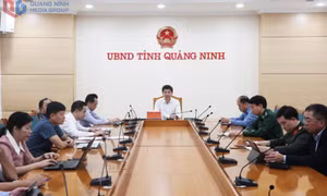 Phiên họp lần thứ 22 của Ban Chỉ đạo Quốc gia về IUU
