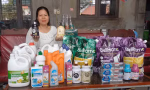 Vượt lên số phận