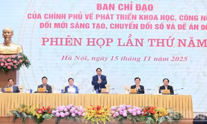 Tập trung phát triển cơ sở dữ liệu làm nền tảng thúc đẩy mạnh mẽ chuyển đổi số quốc gia