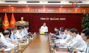 Ban Thường vụ Tỉnh ủy cho ý kiến nhiều nội dung quan trọng