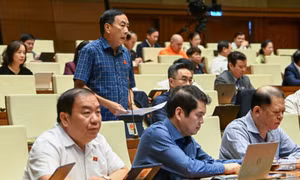 Đẩy nhanh hoàn thiện khung pháp lý điều hành giá linh hoạt, minh bạch