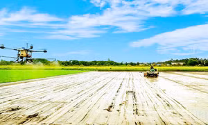 Ngành nông nghiệp và môi trường trong chuyển đổi xanh và phát triển bền vững đất nước