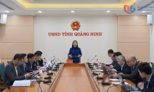  Phó Chủ tịch UBND tỉnh Nguyễn Thị Hạnh làm việc với Ban Quản lý Di sản thế giới Vịnh Hạ Long - Yên Tử