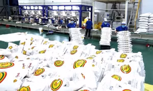 Để nông nghiệp thật sự là lợi thế quốc gia