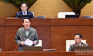Bảo đảm an ninh mạng phù hợp thực tiễn, đáp ứng yêu cầu phát triển và chuyển đổi số