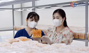 Thúc đẩy tinh thần khởi nghiệp