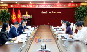Hội nghị Tòa án Nhân dân tối cao các tỉnh biên giới Việt Nam - Trung Quốc lần thứ 2 được tổ chức tại Quảng Ninh