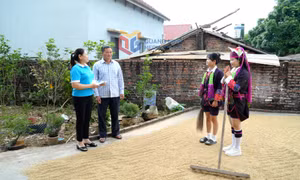 Nâng cao hiểu biết pháp luật cho người dân về hôn nhân cận huyết thống