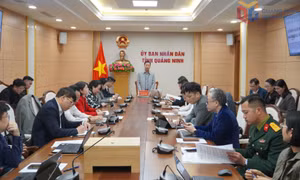 Rà soát công tác phối hợp tổ chức Diễn đàn hợp tác địa phương Việt - Nhật