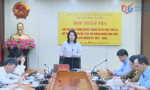 Thẩm tra các dự thảo nghị quyết trình Kỳ họp 33, HĐND tỉnh khóa XIV