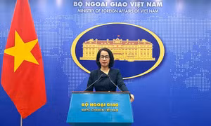 Cộng đồng quốc tế hỗ trợ gần 16 triệu USD giúp Việt Nam khắc phục hậu quả thiên tai