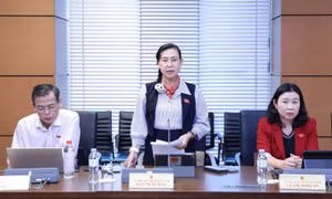 Ngăn chặn hành vi lợi dụng không gian mạng để tố cáo sai sự thật