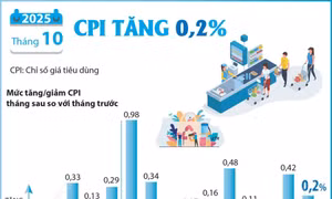 Chỉ số giá tiêu dùng tháng 10/2025 tăng 0,2%