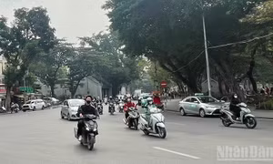 Thời tiết ngày 25/11: Bắc Bộ trời rét, có nơi rét đậm