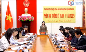 Thường trực HĐND tỉnh họp phiên thường kỳ tháng 11