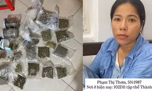 Công an phường phá đường dây mua bán cần sa qua dịch vụ giao hàng công nghệ