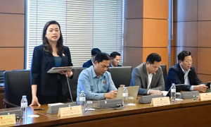 Cân nhắc lộ trình phù hợp mục tiêu đưa tiếng Anh thành ngôn ngữ thứ hai