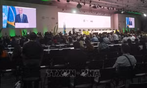 COP30 khai mạc tại Brazil trong nỗ lực bảo vệ khí hậu toàn cầu