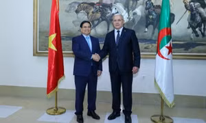 Mong muốn hợp tác kinh tế Việt Nam-Algeria hiệu quả hơn nữa, góp phần vun đắp quan hệ chính trị