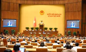 Thông cáo báo chí số 27, Kỳ họp thứ 10, Quốc hội Khóa XV