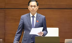Phó Thủ tướng: Cắt giảm tối đa thủ tục hành chính trong lĩnh vực thương mại điện tử