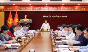 Giao ban Thường trực Tỉnh uỷ