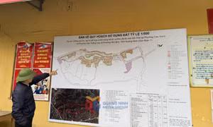 Cần tháo gỡ vướng mắc để sớm triển khai Dự án Đồi Chè