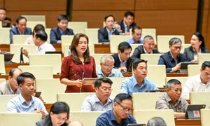 Đại biểu Quốc hội đề nghị sớm đầu tư “nền tảng số báo chí quốc gia”