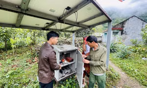 Sớm có giải pháp đảm bảo điện sinh hoạt ở xã Đường Hoa