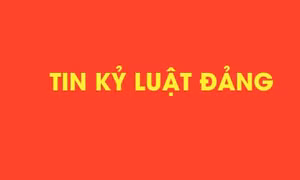 Ban Bí thư xem xét, kỷ luật đảng viên vi phạm