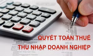 Dịch vụ Kế toán thuế Vinata - Giải pháp giúp doanh nghiệp vững vàng trước mọi mùa quyết toán