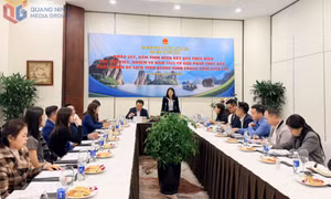 Khảo sát, nắm tình hình phát triển du lịch tỉnh Quảng Ninh