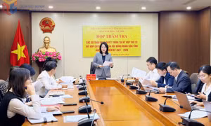 Ban Văn hoá - Xã hội HĐND tỉnh thẩm tra tờ trình, dự thảo nghị quyết 
