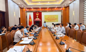 Ban Kinh tế - Ngân sách, HĐND tỉnh, thẩm tra các tờ trình, dự thảo nghị quyết